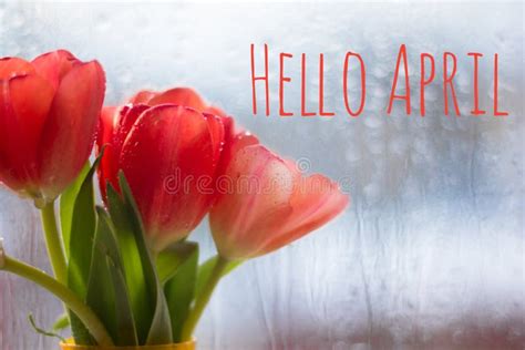 Banner Hello April Hi Spring Hello April Welcome Card We Are Waiting
