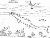 Coloring Pages Liopleurodon Template sketch template