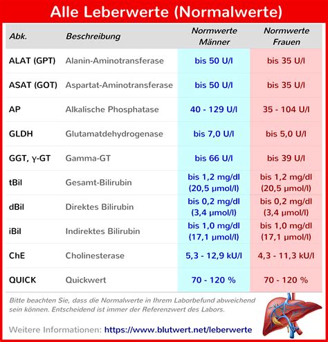 Es gibt in deutschland keinen einheitlichen berechnungswert für den blutzucker. Erhöhte Leberwerte? Alle Werte (Tabelle) und Erklärung
