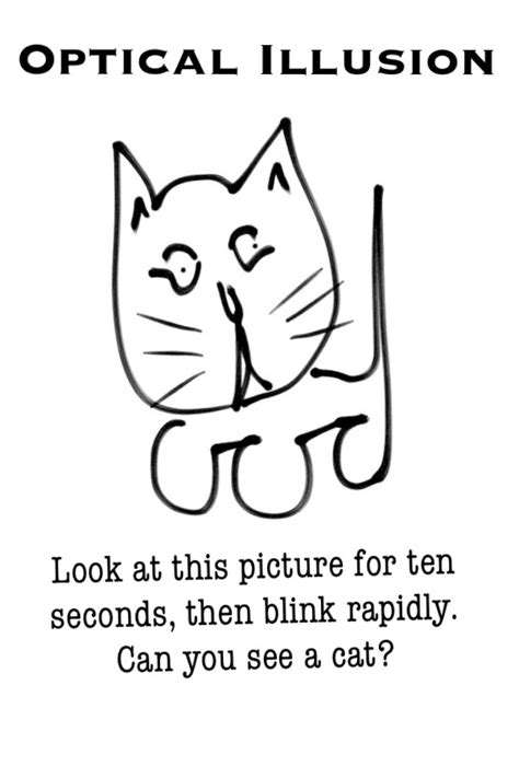 See more ideas about cartoon drawings, easy drawings, easy cartoon drawings. Optical irruvon #cartoon #comic #funny #humor #humour #LOL ...