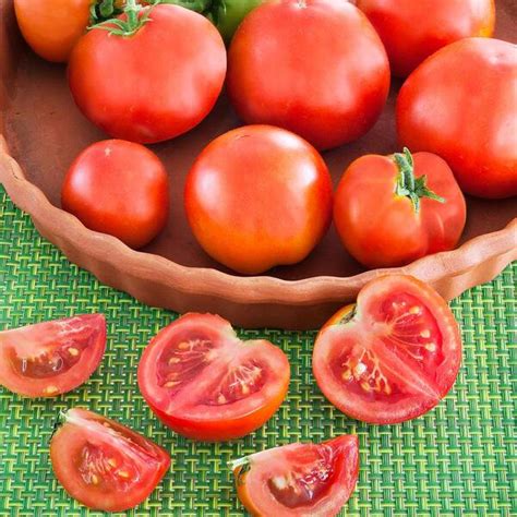 Reviews For Bonnie Plants 19 Oz Patio Hybrid Tomato Plant Pg 1 The