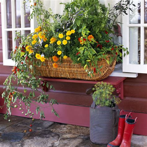 It's easy to find 1,000 ideas for using pots and planters around your home to improve indoor and outdoor spaces. Flowering Window Box Ideas That Work for Sunny Gardens