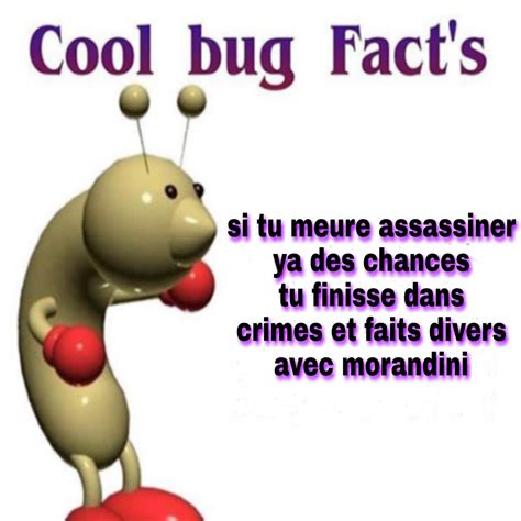 Si Tu Meure Assassiner Cool Bug Facts Know Your Meme