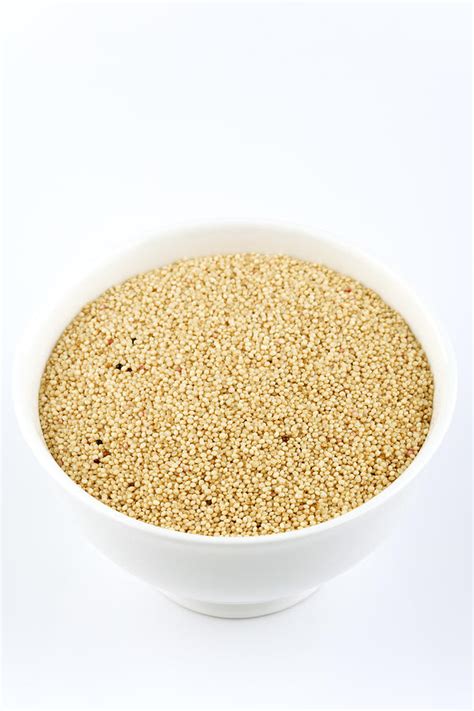 Amaranth Grains Photograph By Geoff Kiddscience Photo Library Fine