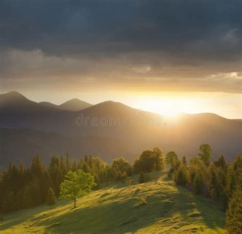 Mountain Valley During Sundown Stock Photo Image Of Forest Floral