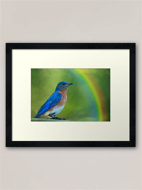 Somewhere Over The Rainbow Bluebirds Fly Framed Art Print By