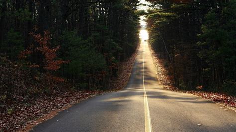 Pavement Road Between Trees Road Hd Wallpaper Wallpaper Flare