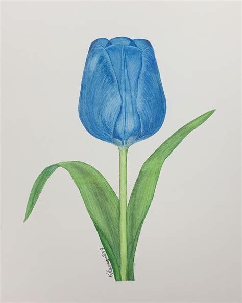 Stunning Blue Tulip Watercolor Painting