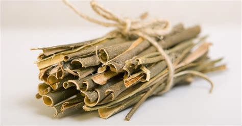 Unbelievable Benefits Of White Willow Bark Ultimate Guide