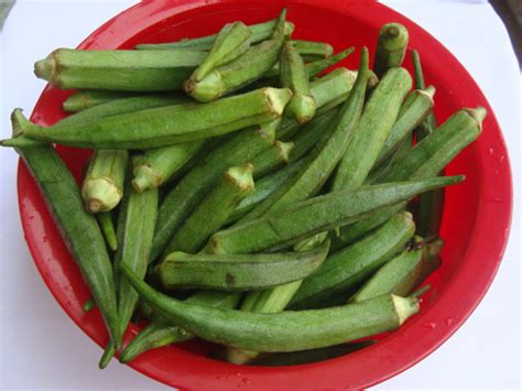 His tiramisu features fresh homemade ladyfingers drenched in coffee liqueur. Does Okra (Bhindi) Help With Diabetes? Find Out Here!