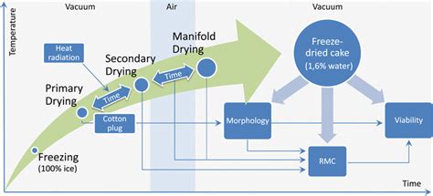 Overview Of The Investigated Variables On Properties Of Freeze Dried