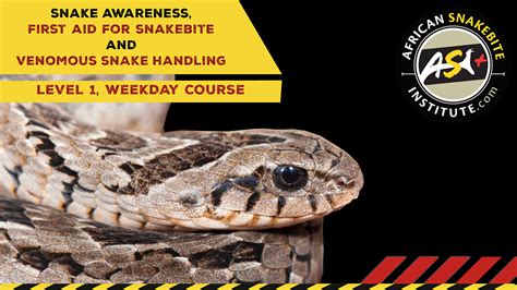 Snake Awareness And Venomous Snake Handling Gauteng 2022 10 28