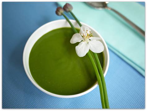 Gustia Green Things Soup