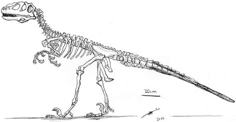 Deinonychus Skeleton By Smartpulchra On Deviantart