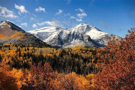 Mount Timpanogos In Autumn Utah Mountains Photograph By Tracie Kaska