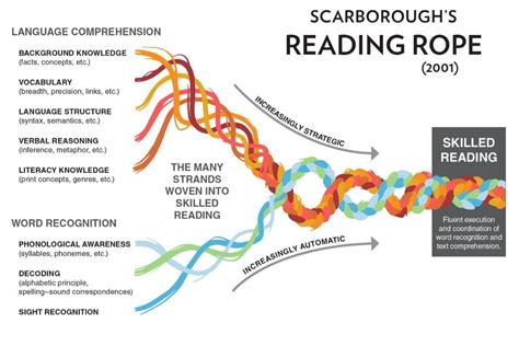 What Is The Science Of Reading — Smarten Up