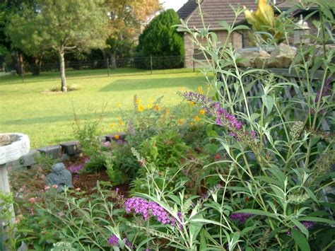 Landscaping Photo Of Small Butterfly Garden Posted By Posie4u
