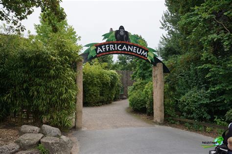 Africaneum Allwetterzoo Münster Freizeitpark Weltde