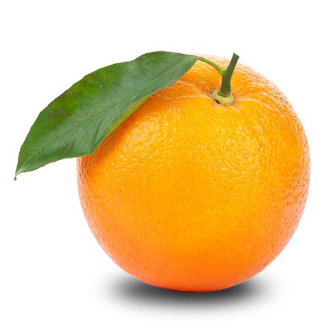 Orange Clipart Png 10 Free Cliparts Download Images On Clipground 2022