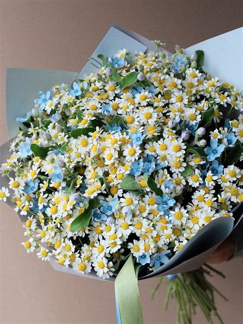 1️⃣ Букет из полевых цветов — заказать в Алматы от Pro Buket