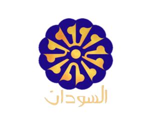 تنزيل رتبة مدير المخابرات الداخلية السابق من جنرال إلى جندي. هيئة الاذاعة والتلفزيون Png - Sahara Blog's