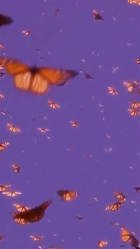 Baddie Purple Butterfly Wallpaper Aesthetic Download Free Mock Up