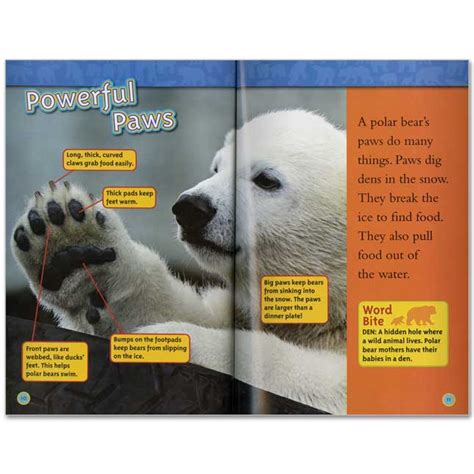 National Geographic Kids Readers Level 1 Set 1 10 Book Set