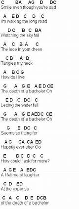 Death Of A Bachelor Guitar Chords Images