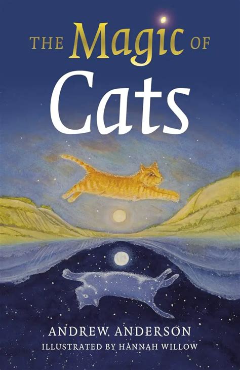 6 New Release Cat Books To Read In 2024 The Catington Post
