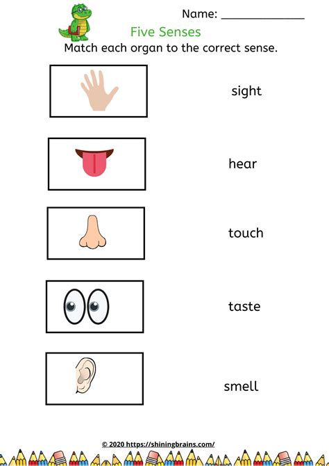 5 Senses Match Worksheet Sensory Details Worksheet Mohammad Moon