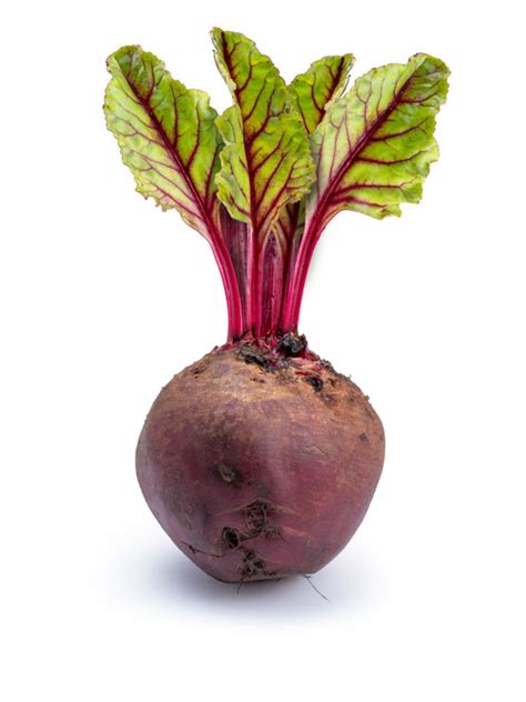 Planting Store Bought Beets Can You Regrow Beets From Scraps