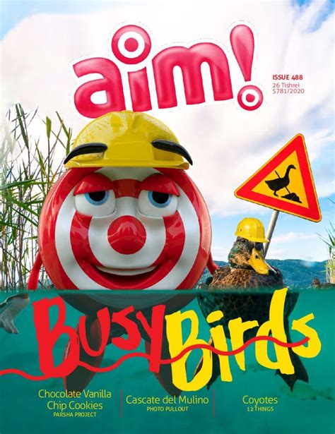 Cover Archive Ami Magazine