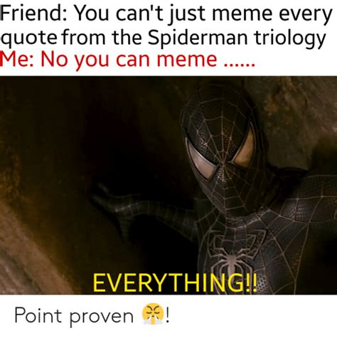 Friend You Cant Just Meme Every Quote From The Spiderman Triology Me
