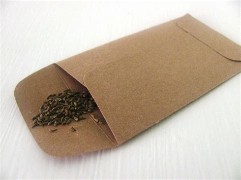 Brown Paper Seed Envelopes Crafting Papers