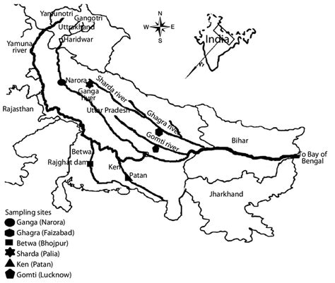 Collection Sites Of L Rohita From Three Indian Rivers Source Khan Et