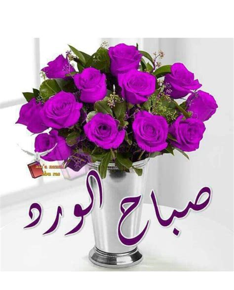 صباح الحب و الشوق لاحلى عيون. صباح الورد والفل والياسمين - إقرأ صباح الورد والفل ...