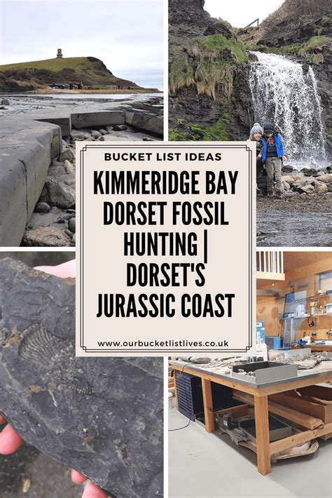 Kimmeridge Bay Dorset Fossil Hunting Dorsets Jurassic Coast