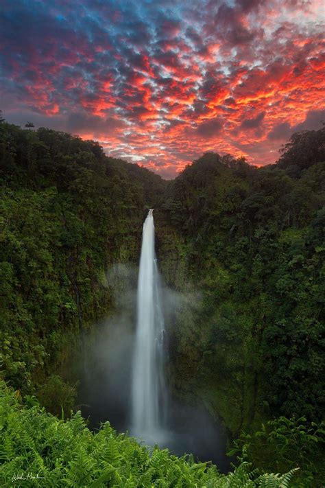 Akaka Falls State Park - Big Island Reviews