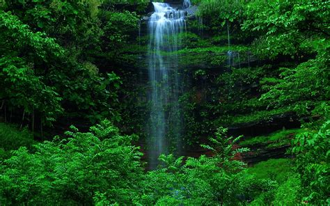 Green Forest Waterfall Hd Wallpaper Download