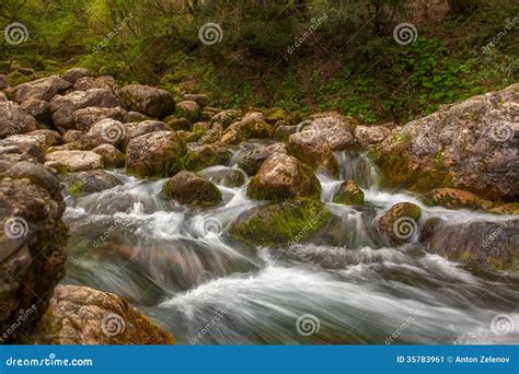 Mountain River Water Stream Over Rocks In The Forest Stock Image