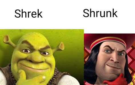 Top 24 Dank Memes Shrek 2 Disappointment Quotes Gambaran