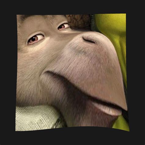Donkey From Shrek Meme Shrek Kids T Shirt Teepublic