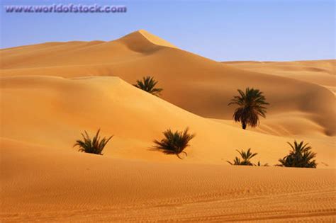 Hot Desert Climate Hotcold Deserts