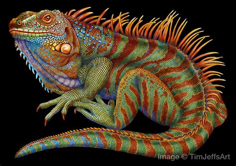 Tim Jeffs Draws Incredibly Detailed Lizards Using Pencil Crayons