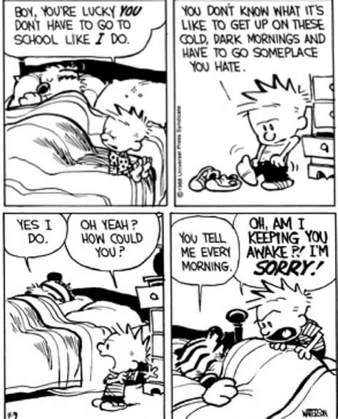 Calvin Und Hobbes Calvin And Hobbes Comics Funny Cartoons Cartoons