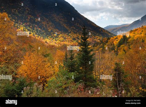 Fall Foliage Crawford Notch White Mountain National Forest New