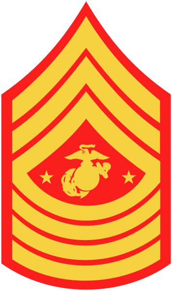 Usmc E9 Sergeant Major Of The Marine Corp Marine Corps Marine Corps