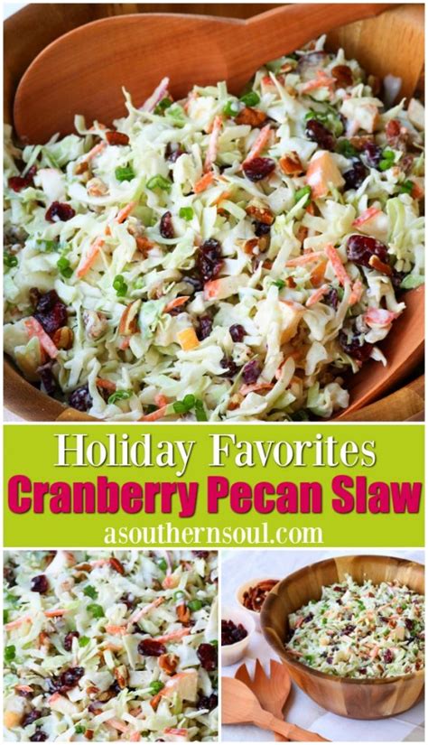 Stir together coleslaw mix and next 4 ingredients in a large bowl; Cranberry Pecan Slaw - A Southern Soul | Winter salad ...