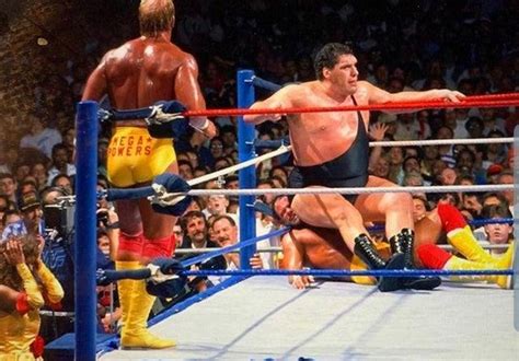 Wwf Legends In Action Hulk Hogan And Andre The Giant With Macho Man