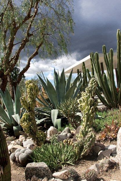 There are 3 ways to get from los angeles to cactus peak by bus, train or car. A Waterwise Cactus Garden | Cactus garden, Desert garden ...